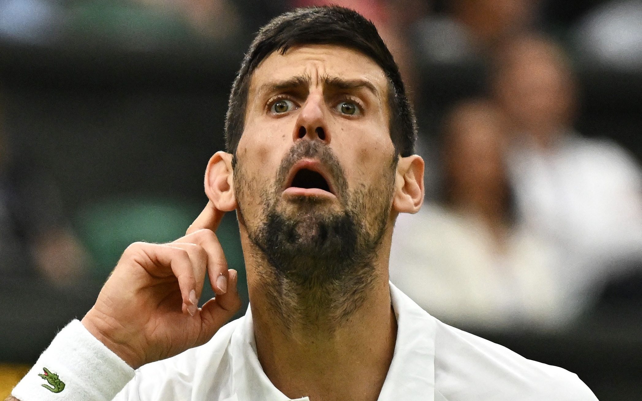 Novak Djokovic