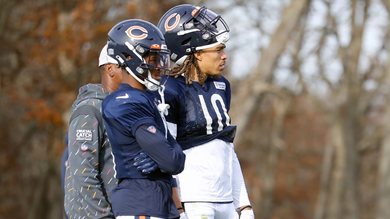 Bears