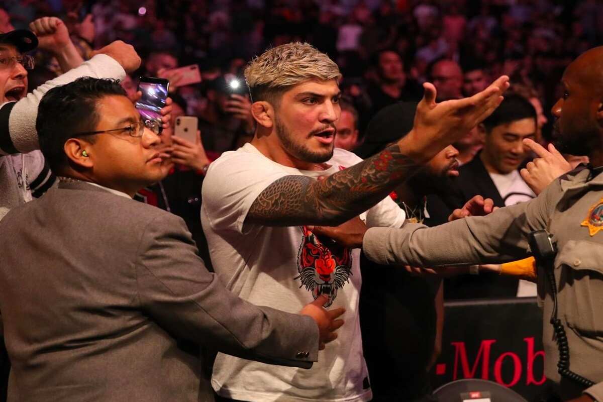 Dillon Danis