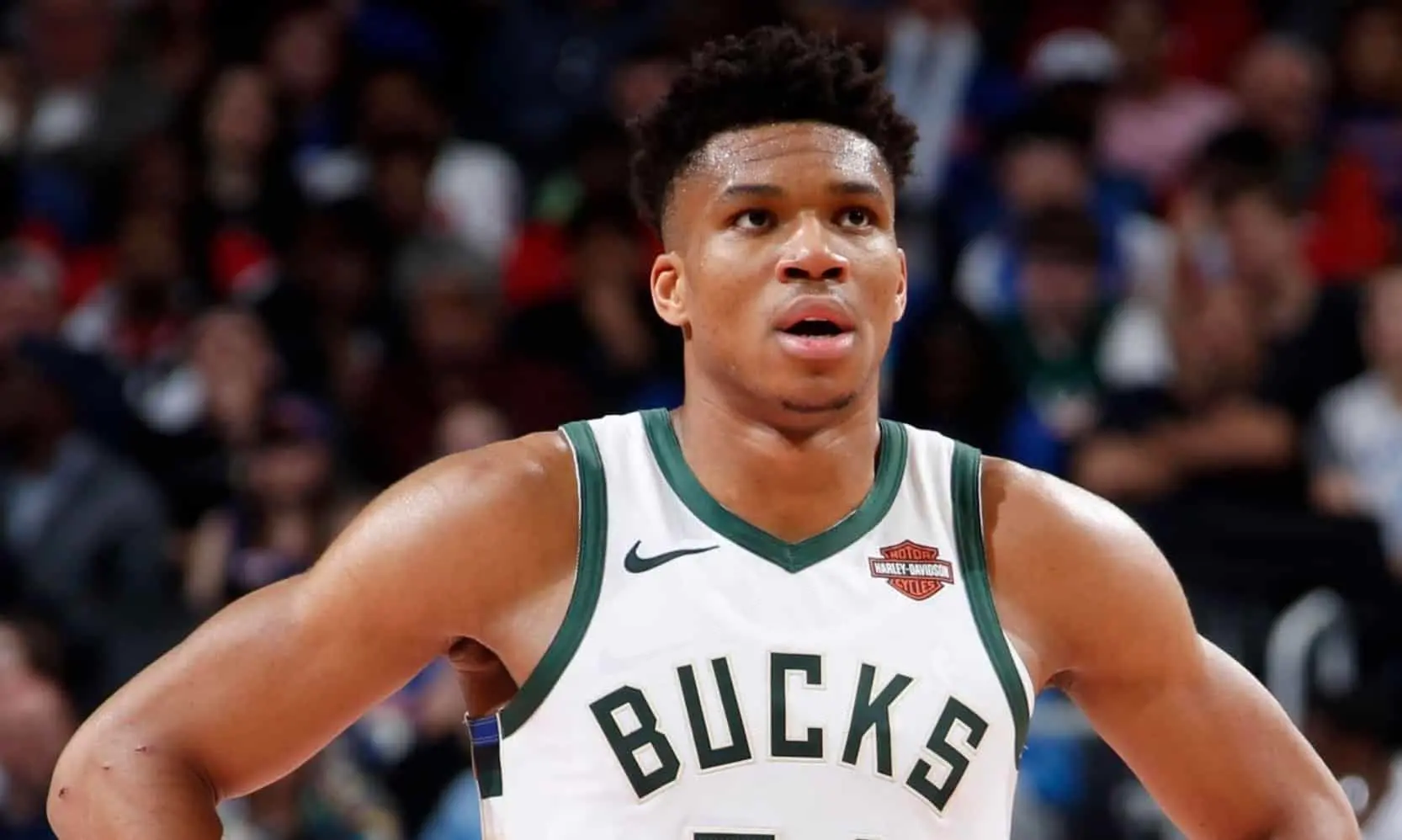 Fans reacting to Giannis Antetokounmpo’s ejection during the Bucks against the Piston