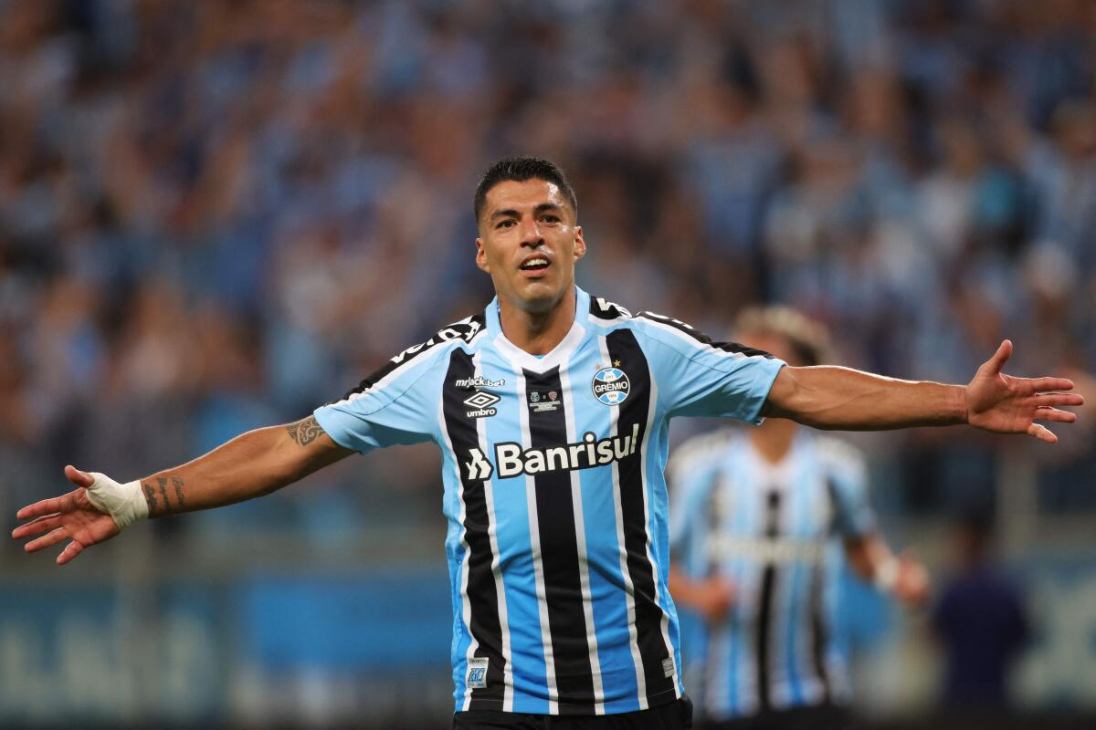Luis Suarez